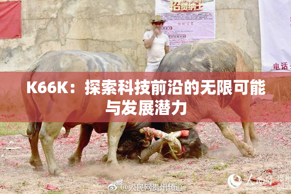 K66K：探索科技前沿的无限可能与发展潜力