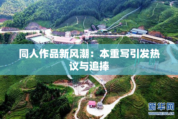 同人作品新风潮：本重写引发热议与追捧