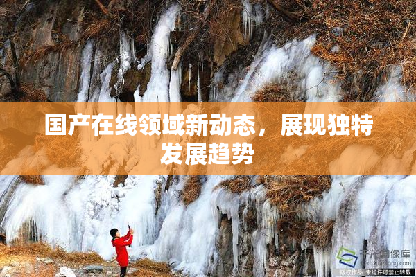 国产在线领域新动态，展现独特发展趋势
