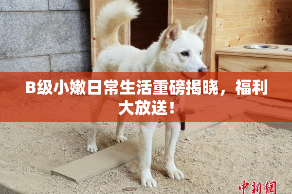 B级小嫩日常生活重磅揭晓，福利大放送！