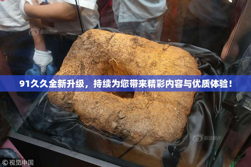 91久久全新升级，持续为您带来精彩内容与优质体验！