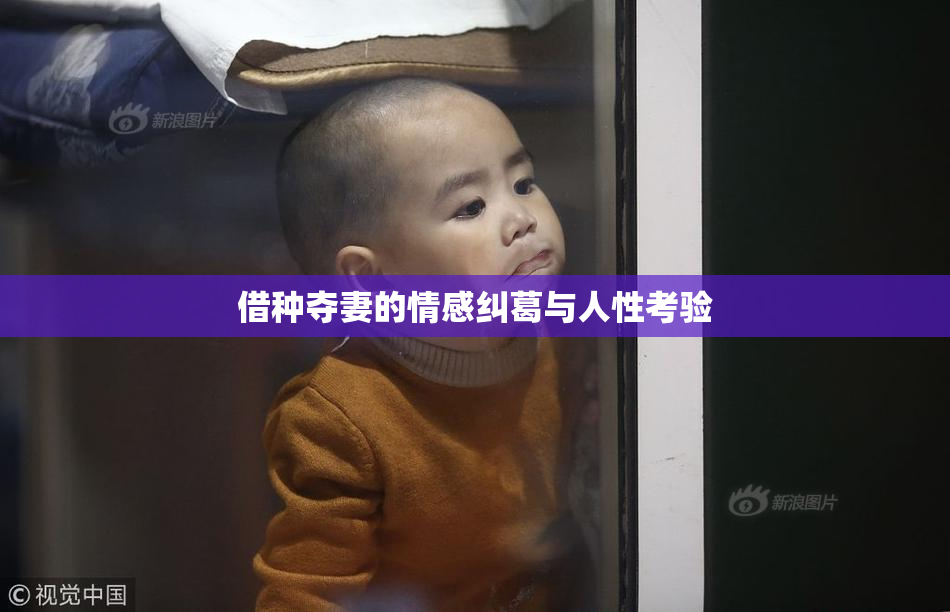 借种夺妻的情感纠葛与人性考验
