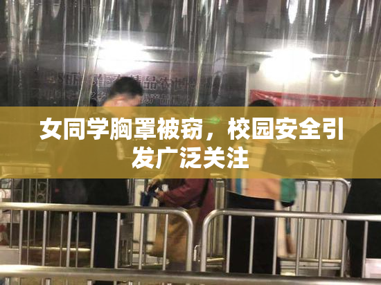 女同学胸罩被窃，校园安全引发广泛关注