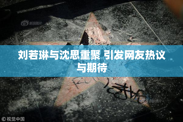 刘若琳与沈思重聚 引发网友热议与期待