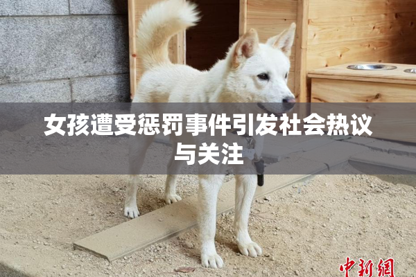 女孩遭受惩罚事件引发社会热议与关注