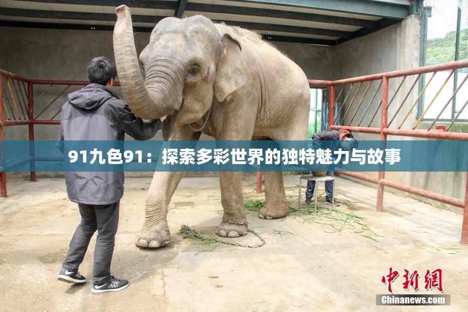 91九色91：探索多彩世界的独特魅力与故事