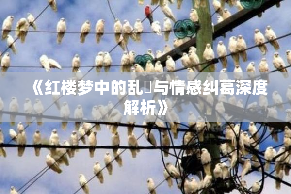 《红楼梦中的乱婬与情感纠葛深度解析》