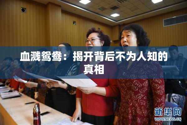血溅鸳鸯：揭开背后不为人知的真相