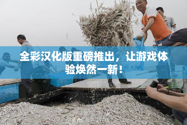 全彩汉化版重磅推出，让游戏体验焕然一新！