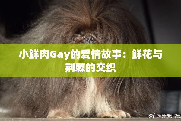 小鲜肉Gay的爱情故事：鲜花与荆棘的交织