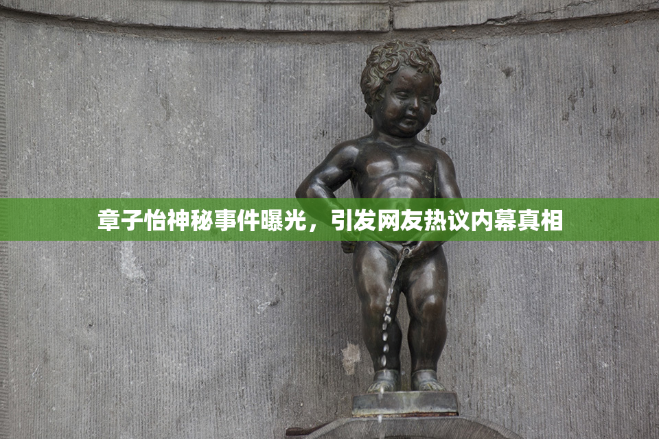 章子怡神秘事件曝光，引发网友热议内幕真相