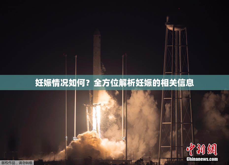 妊娠情况如何？全方位解析妊娠的相关信息