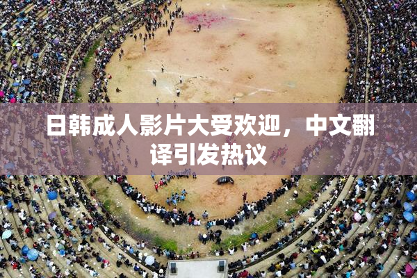 日韩成人影片大受欢迎，中文翻译引发热议