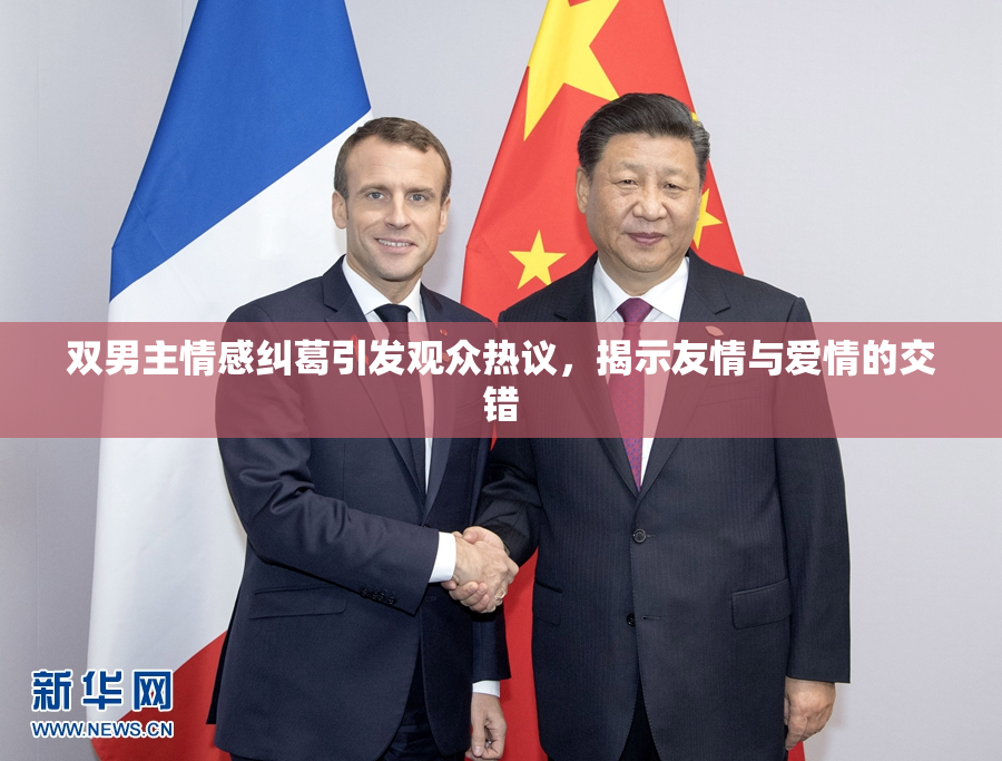双男主情感纠葛引发观众热议，揭示友情与爱情的交错