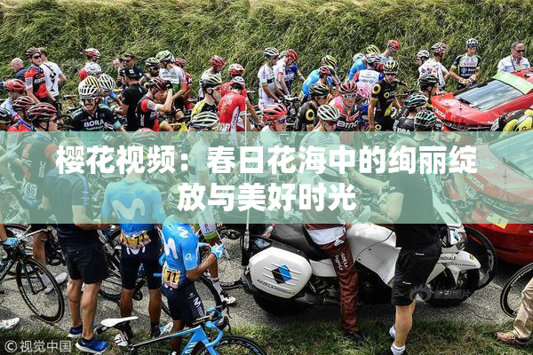 樱花视频：春日花海中的绚丽绽放与美好时光