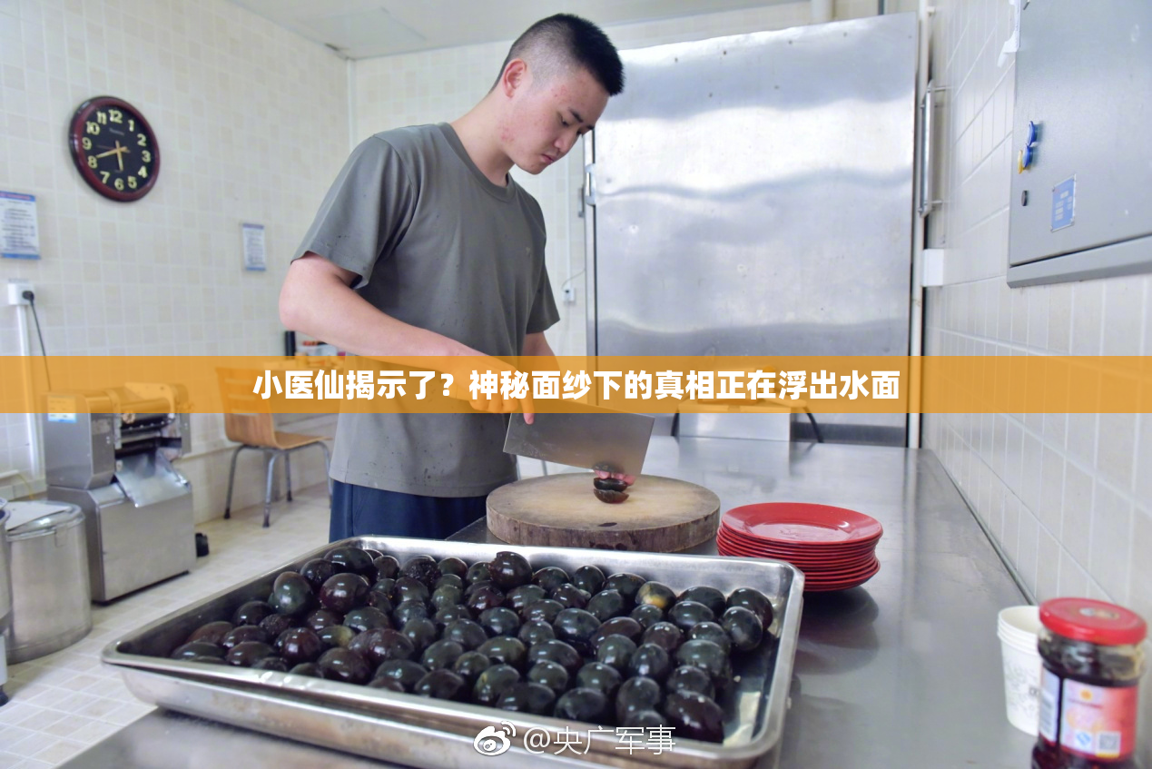 小医仙揭示了？神秘面纱下的真相正在浮出水面