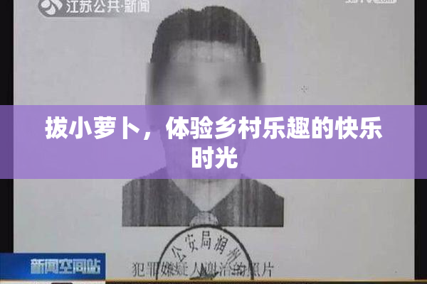 拔小萝卜，体验乡村乐趣的快乐时光
