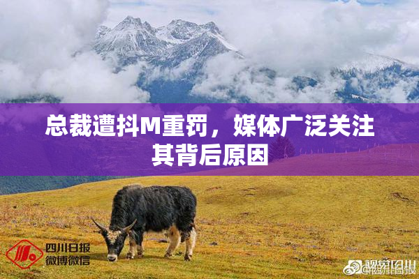 总裁遭抖M重罚，媒体广泛关注其背后原因