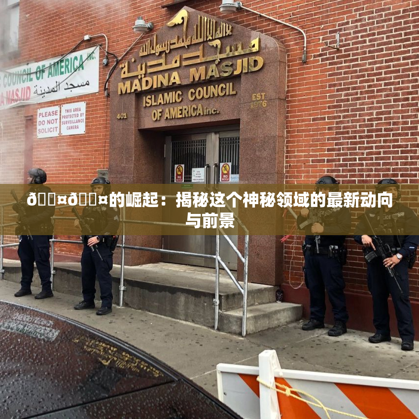 🐤🐤的崛起：揭秘这个神秘领域的最新动向与前景