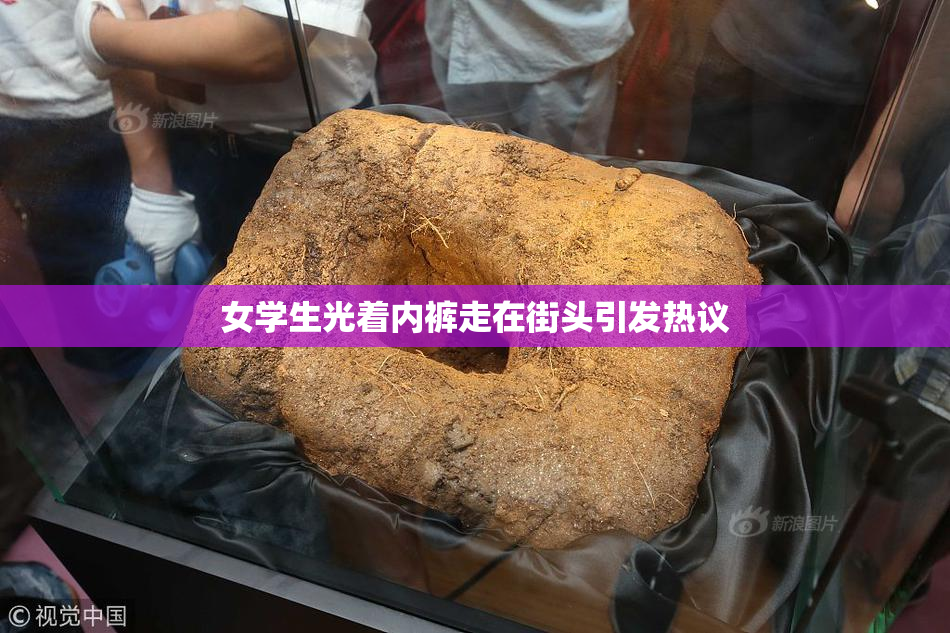 女学生光着内裤走在街头引发热议