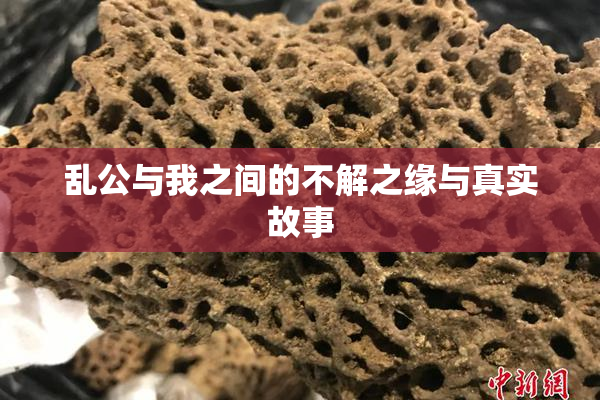 乱公与我之间的不解之缘与真实故事