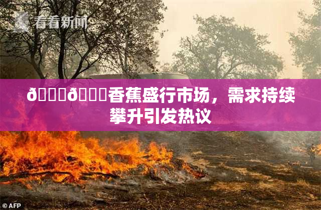 🔞🔞香蕉盛行市场，需求持续攀升引发热议