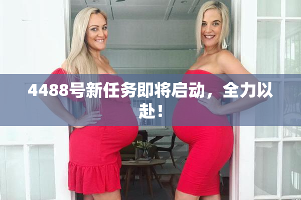 4488号新任务即将启动，全力以赴！