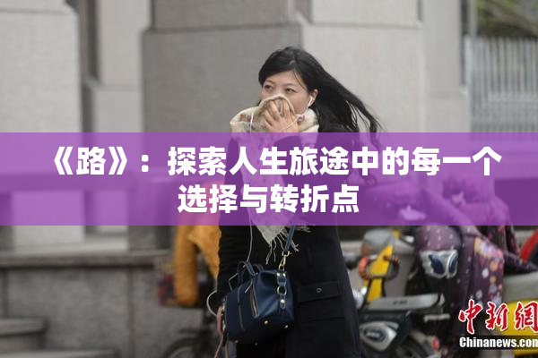 《路》：探索人生旅途中的每一个选择与转折点