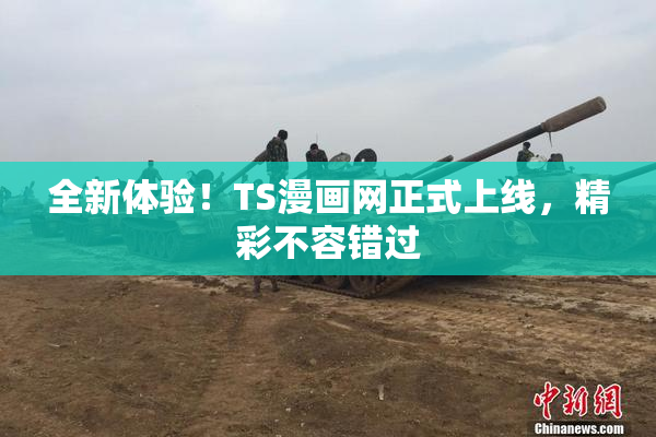 全新体验！TS漫画网正式上线，精彩不容错过