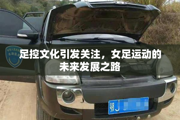 足控文化引发关注，女足运动的未来发展之路