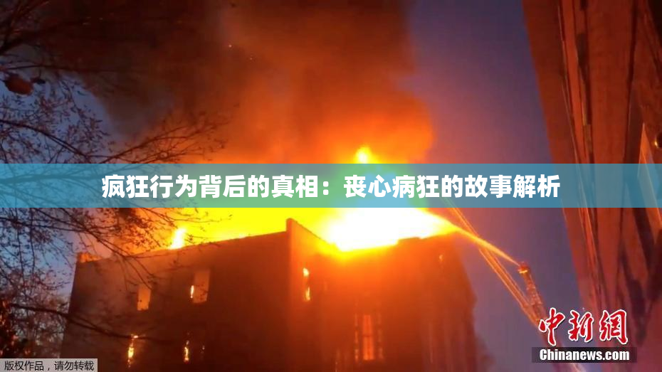 疯狂行为背后的真相：丧心病狂的故事解析