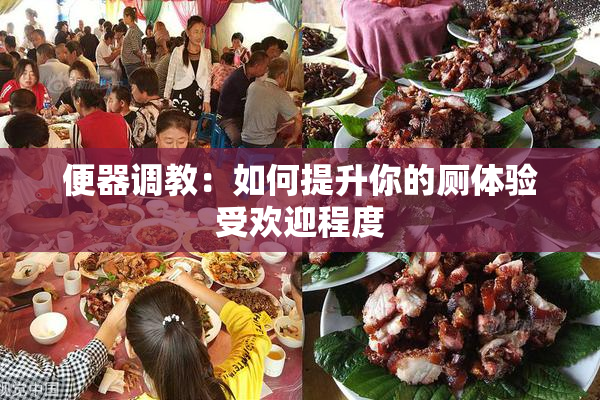便器调教：如何提升你的厕体验受欢迎程度