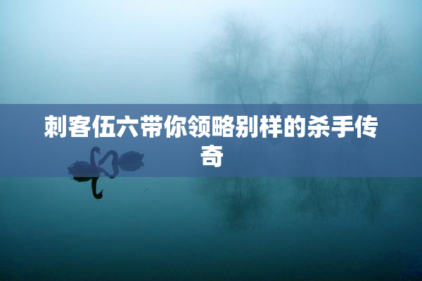 刺客伍六带你领略别样的杀手传奇