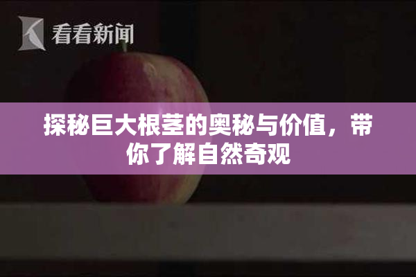 探秘巨大根茎的奥秘与价值，带你了解自然奇观
