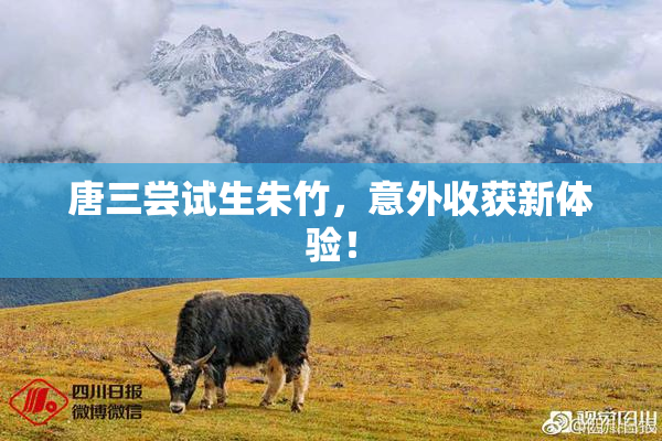 唐三尝试生朱竹，意外收获新体验！