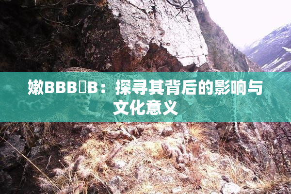 嫩BBB槡B：探寻其背后的影响与文化意义