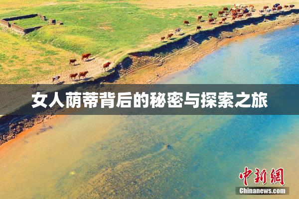 女人荫蒂背后的秘密与探索之旅