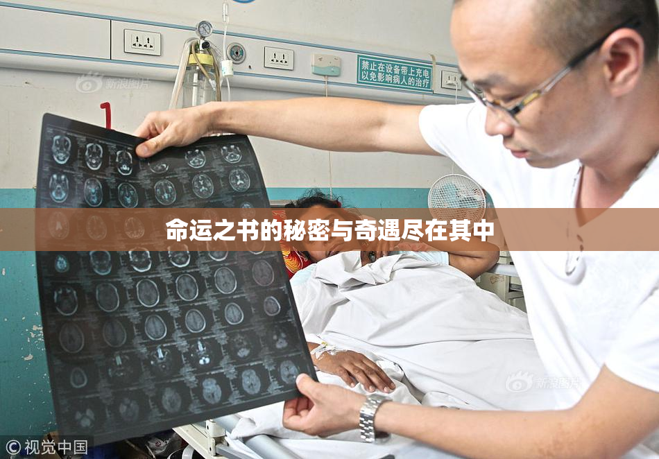 命运之书的秘密与奇遇尽在其中