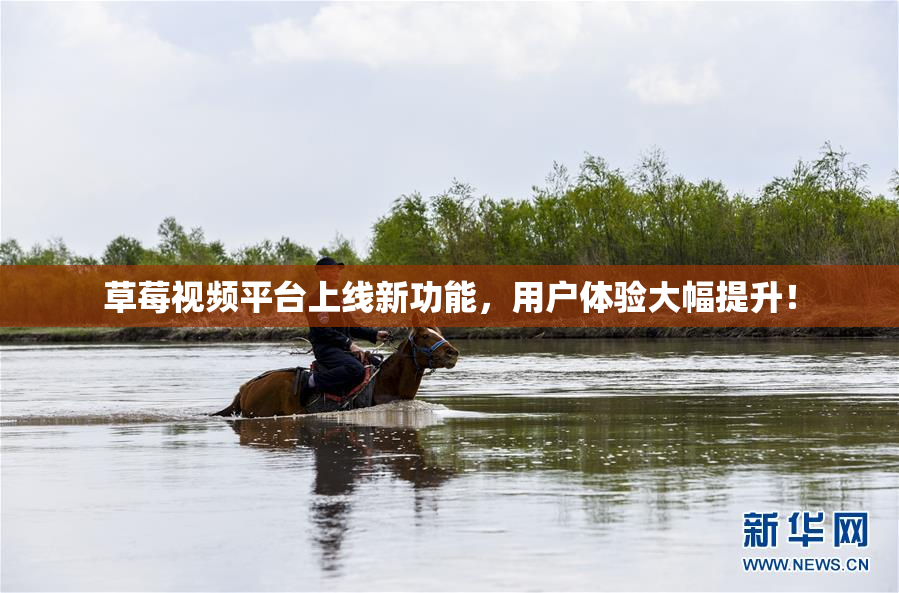草莓视频平台上线新功能，用户体验大幅提升！