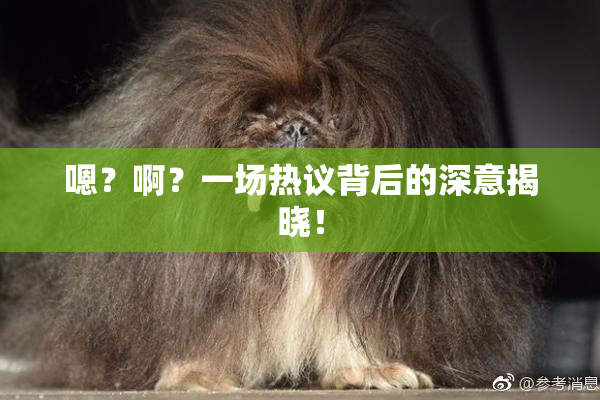 嗯？啊？一场热议背后的深意揭晓！