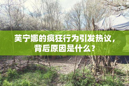 芙宁娜的疯狂行为引发热议，背后原因是什么？