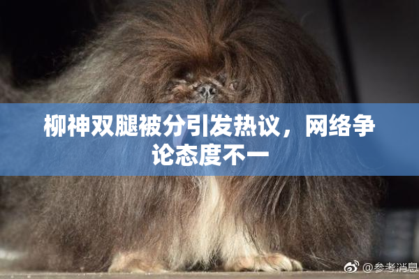 柳神双腿被分引发热议，网络争论态度不一