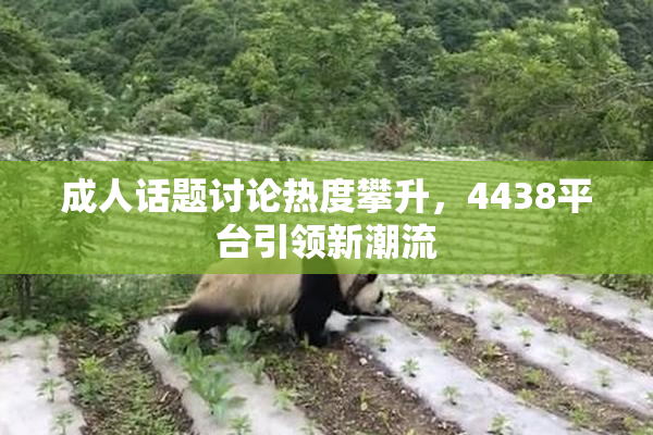 成人话题讨论热度攀升，4438平台引领新潮流