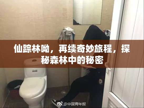 仙踪林呦，再续奇妙旅程，探秘森林中的秘密