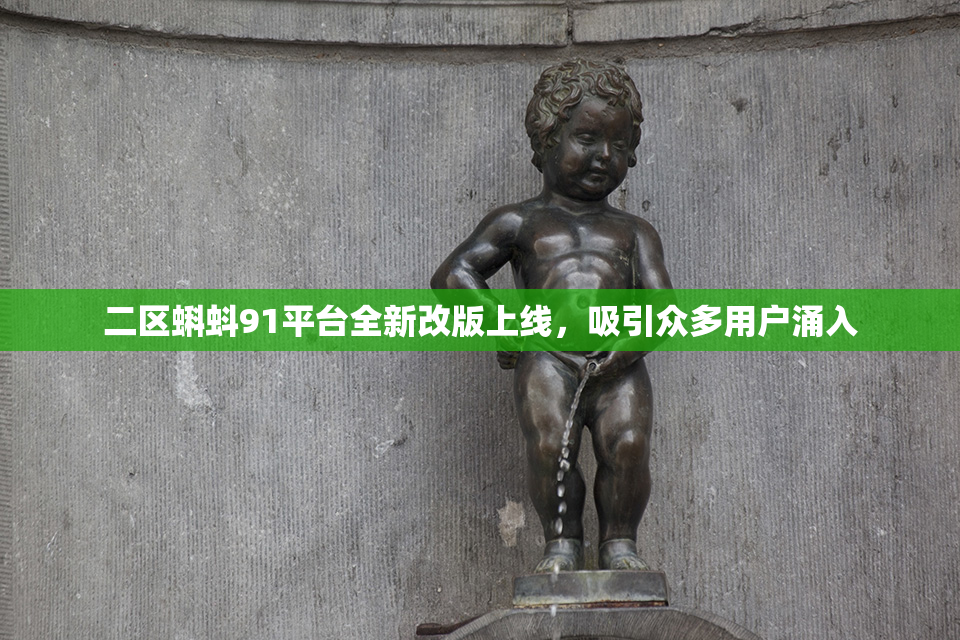 二区蝌蚪91平台全新改版上线，吸引众多用户涌入