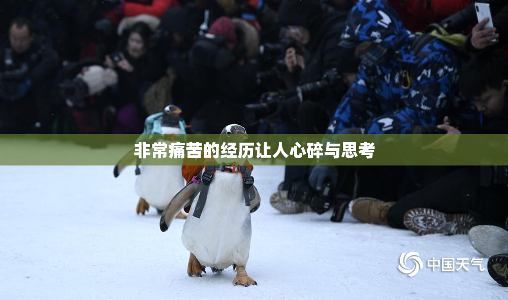 非常痛苦的经历让人心碎与思考