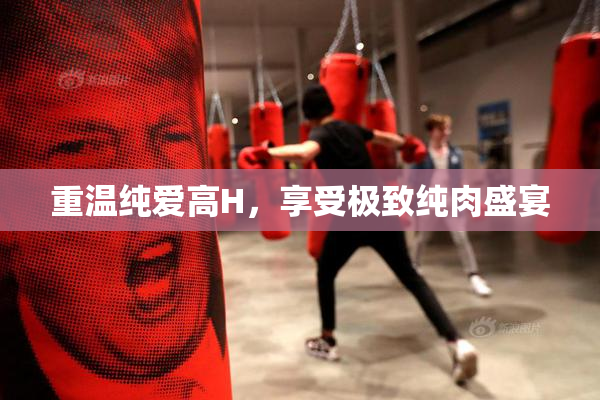 重温纯爱高H，享受极致纯肉盛宴