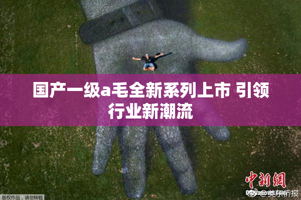 国产一级a毛全新系列上市 引领行业新潮流