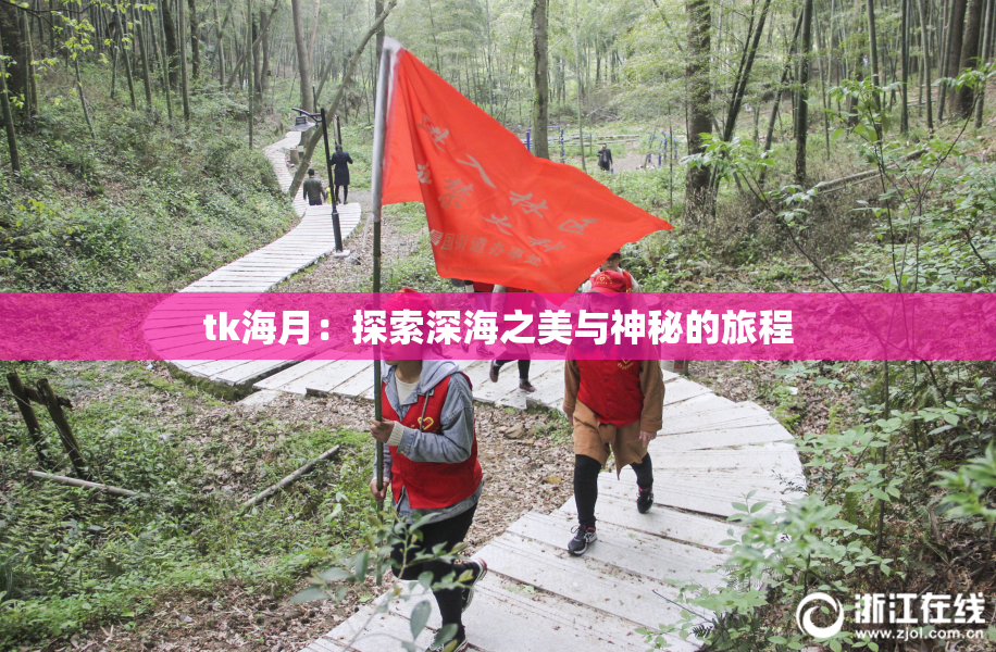 tk海月：探索深海之美与神秘的旅程