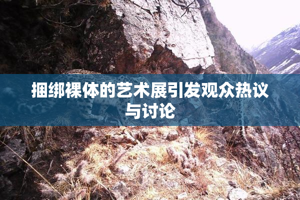 捆绑裸体的艺术展引发观众热议与讨论